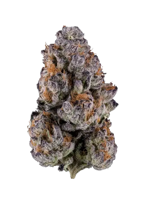 Blueberry Swirl