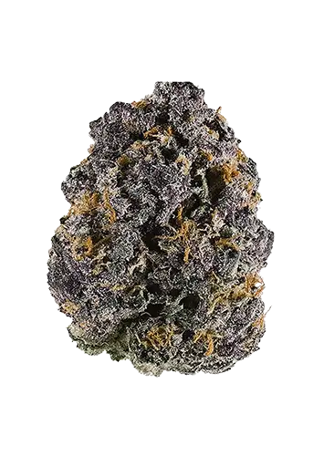 Trillianz