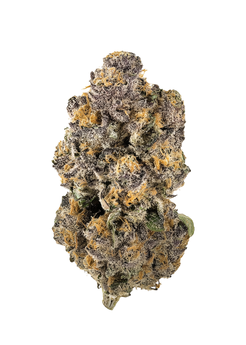 Tropical Fusion