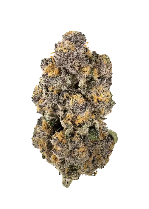 Tropical Fusion