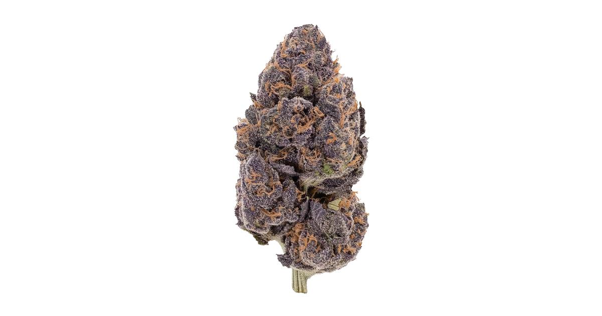 sr71-cannabis-strain-information-growdiaries