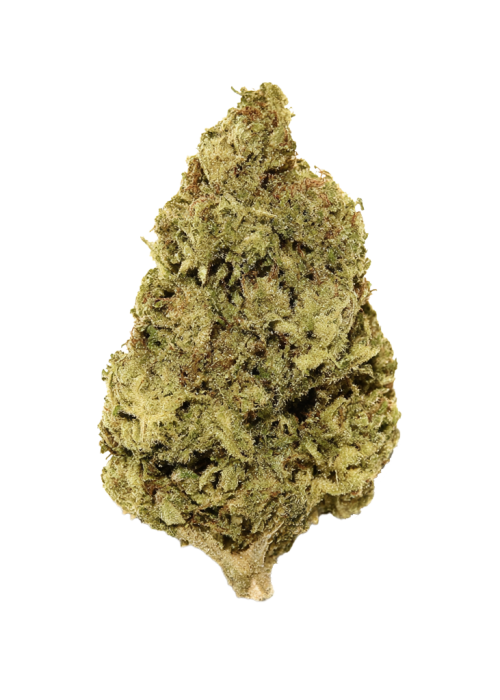 Mind Ztone