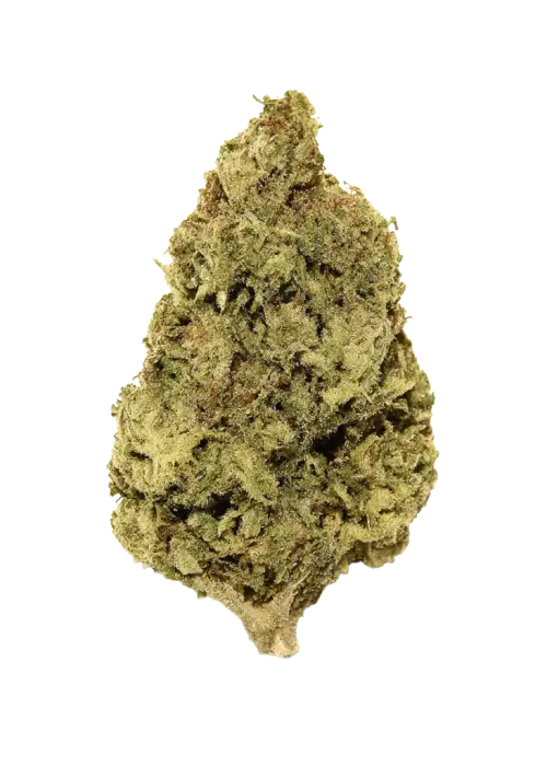 Mind Ztone