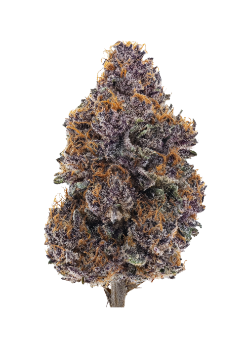 Vanilla Berries