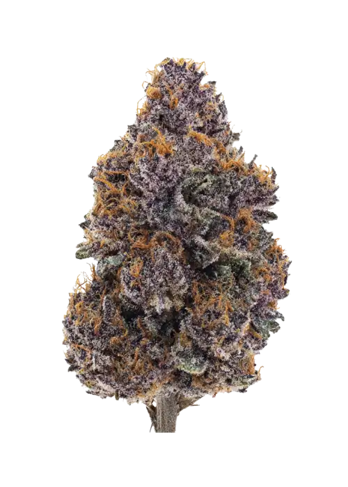 Vanilla Berries