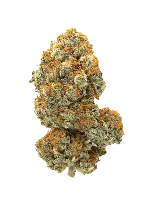 Mango Lemonade
