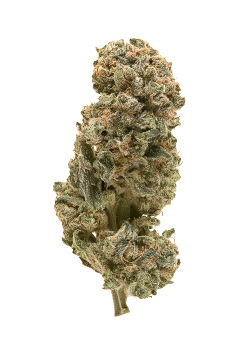 Chem T Haze