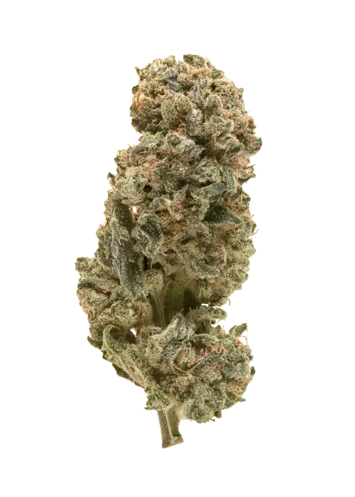 Chem T Haze