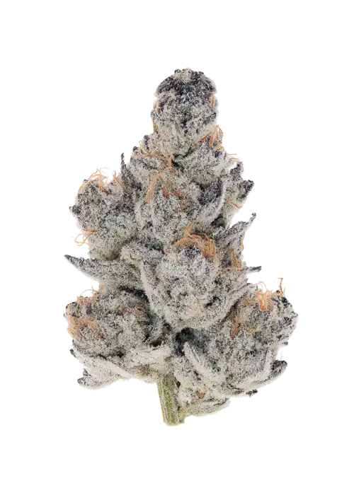 Zweet Chem