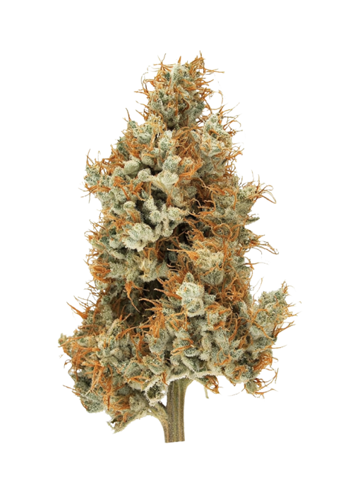 Big Pine
