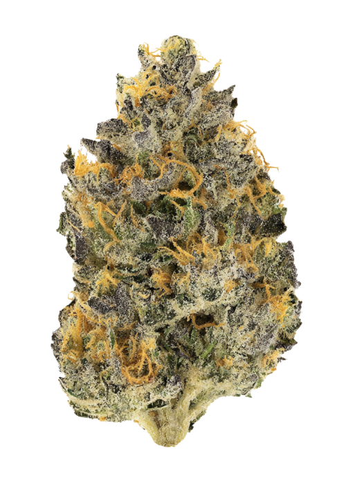 Lemon Cherry Pie