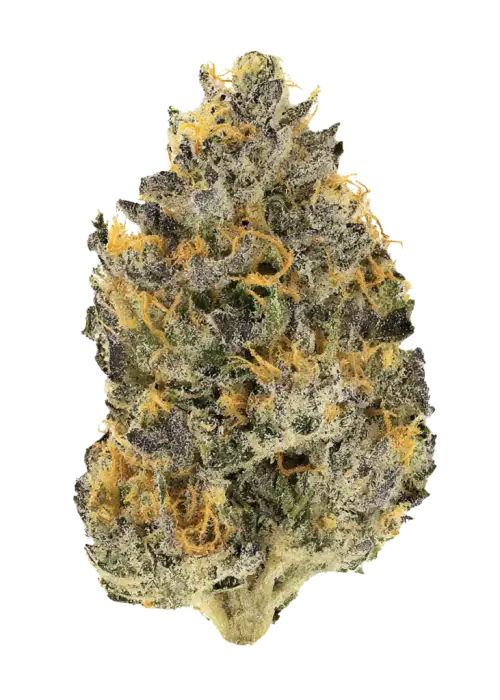 Lemon Cherry Pie