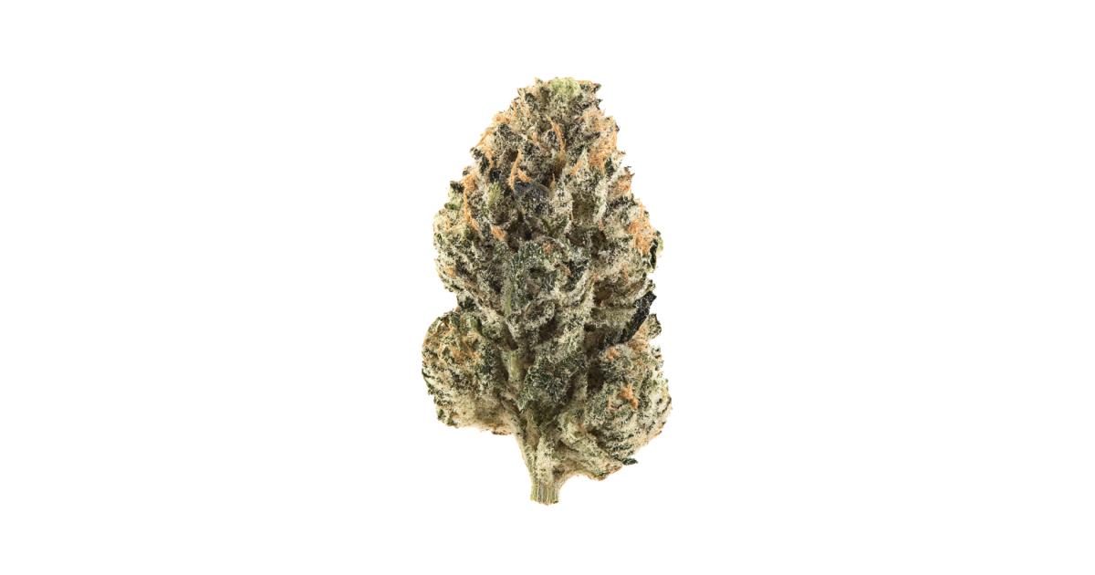 Blue Zuava Cannabis Strain Information - GrowDiaries