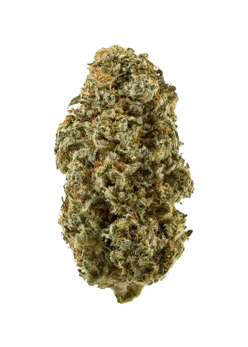 Zuapanga