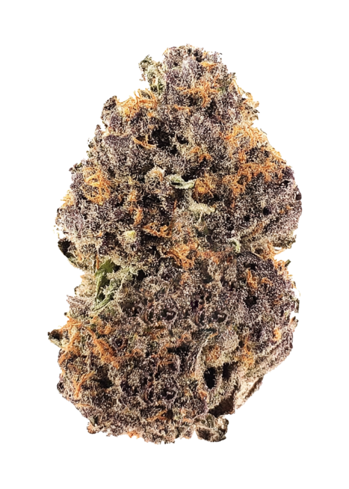 Blue Andes