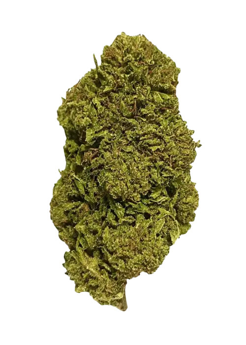 Honey Banana Zuava