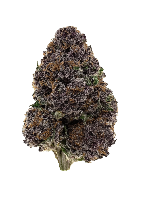 Purpz