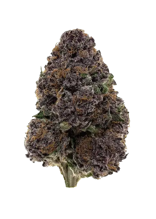 Purpz