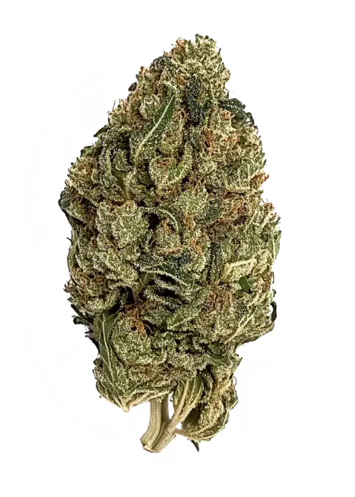 97 Super Sour