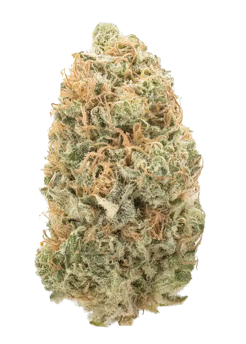 Washington Apple