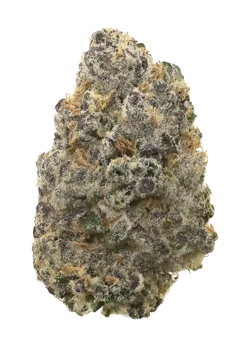 Blueberry Frosting