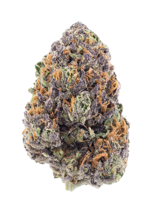 Slurricane #7