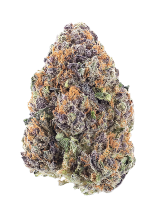 Slurricane #44