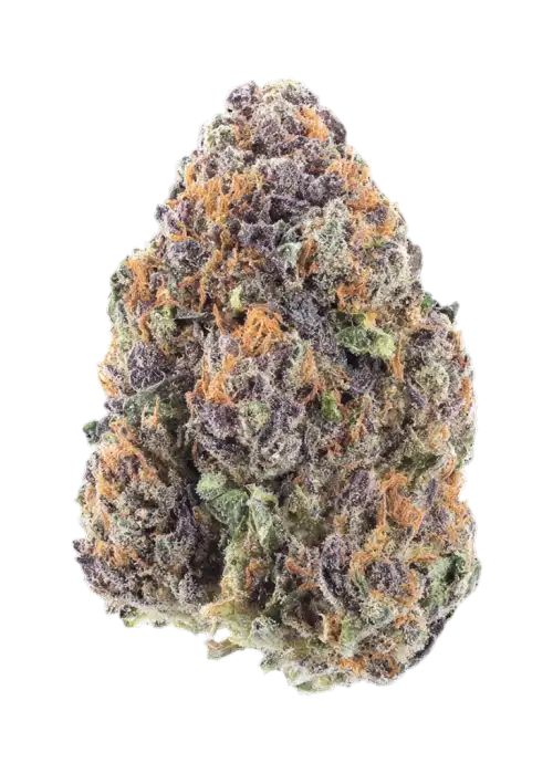 Slurricane #44