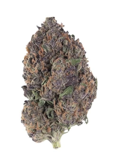 Black Cherry Honey