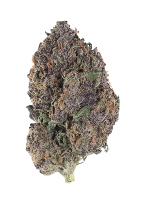 Black Cherry Honey