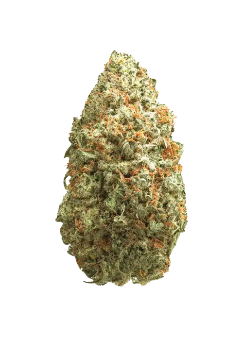 Orange Burst
