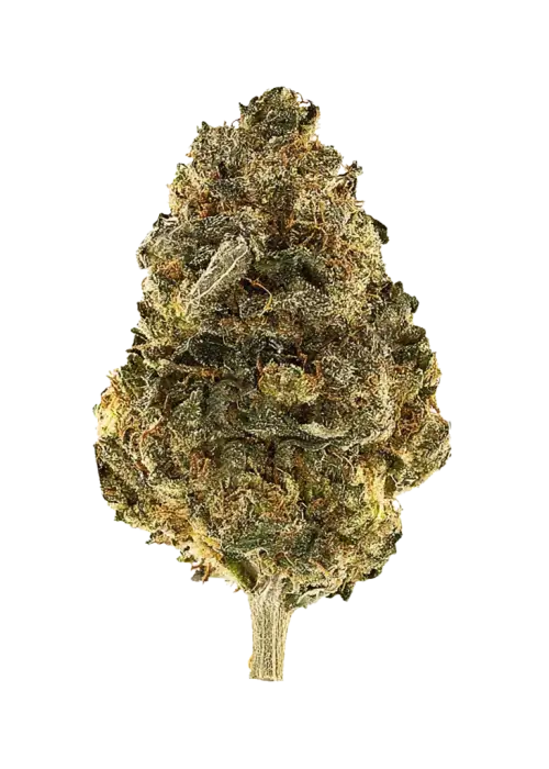 Grape Cobbler