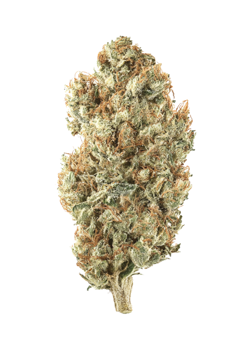 Sour ThanoZ