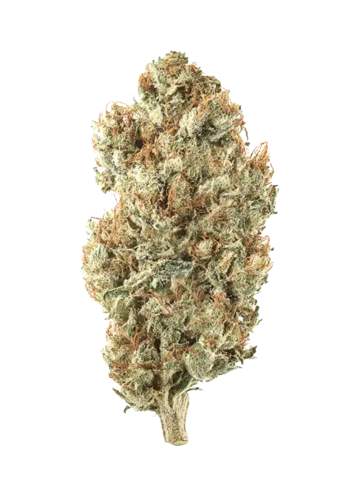 Sour ThanoZ