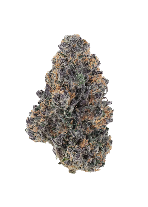 Platinum Float