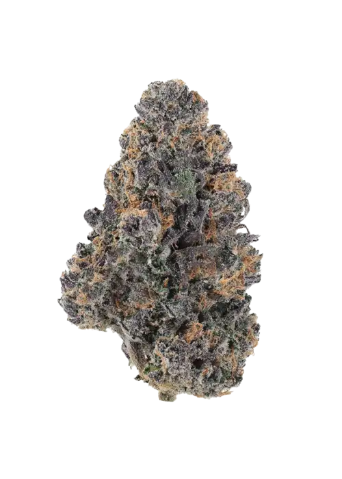 Platinum Float