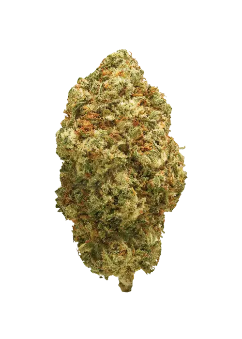 Platinum OG-D