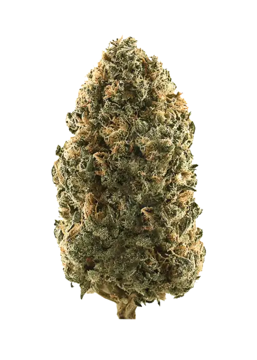 Black Honey Butter