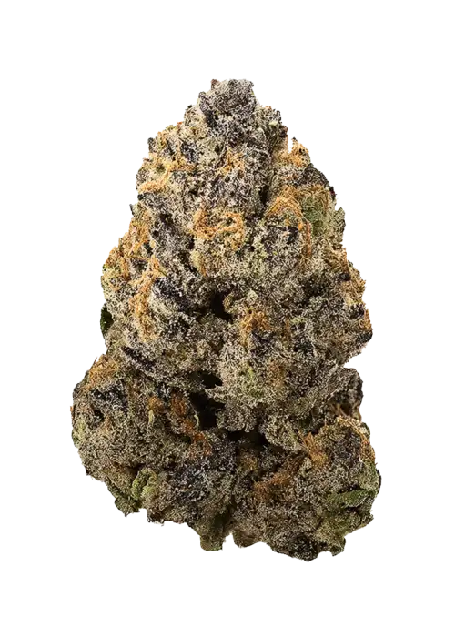 Zazooka