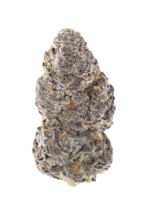 Grape Cream Cake F2
