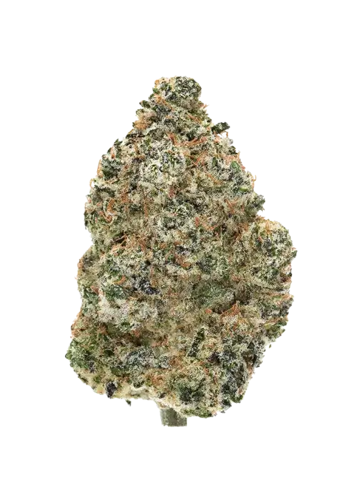 Strawberry Guava S1