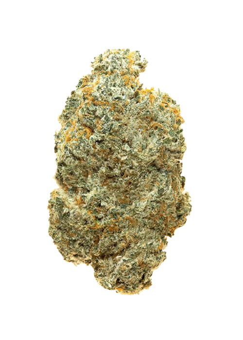 Maple Drip
