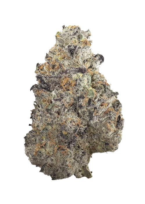 Black Berry Maple