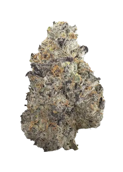 Black Berry Maple
