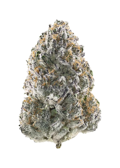 Grape Rips