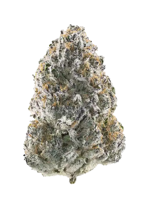 Grape Rips