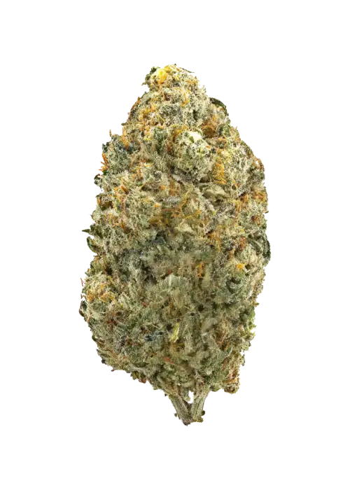 Maple Fumez