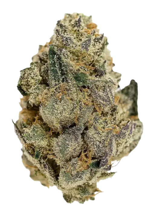 Grease Monkey
