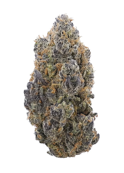 Avenue of The Giants