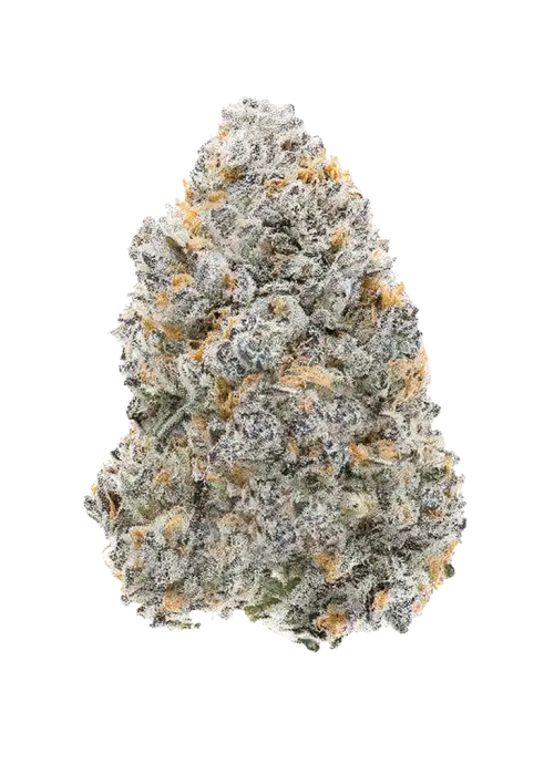 Bubbawhip F2